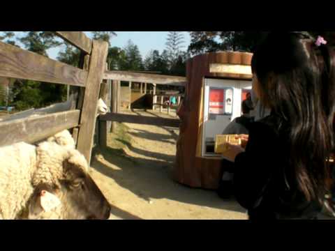 how to go harvest hill osaka
