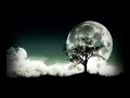 Diana Krall – Fly Me To The Moon