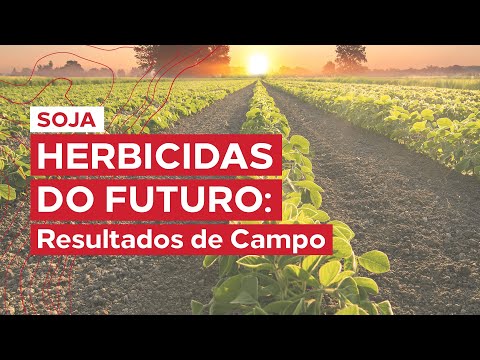 Herbicida Xeque Mate - IHARA Defensivos Agrícolas