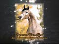 Arabian Stallion Ryad-el-Jamaal