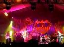 Langerado 2007 - Stephen Malkmus and the Jicks Langerado 2007 - Stephen Malkmus and the Jicks