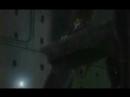 wolf rain