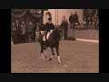 Show Jumping and Dressage- Pump It