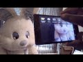 TAKE PICTURE with VOLUME Down KEY 02/06/13