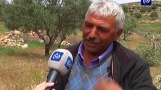 اعتداءات المستوطنين على أراضي قرية المخماس في القدس المحتلة - هذا الصباح اعتداءات المستوطنين على أراضي قرية المخماس في القدس المحتلة - هذا الصباح