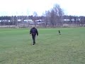 Kiito tränar Inkallande med ställande 091204