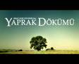 Murat OZKAN - Uzak (Yaprak Dökümü)