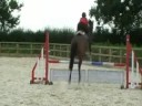 rosie training