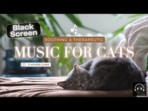 [Black Screen] Pet Therapy Music for Cats | Relax with Classical Piano + Theta Waves