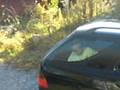 videos de VDC the car gremlin