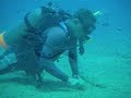 Diver holds a Gold Spotted Moray Eel