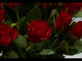 yash raj.mere haath mein.wmv yash raj.mere haath mein.wmv