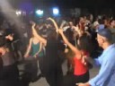 Zingar�a 2007 Sintesi concerti