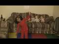 videos de dance