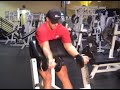 bodybuilding arms