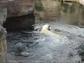 Zoo am Meer Bremerhaven