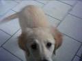 videos de mia.AVI