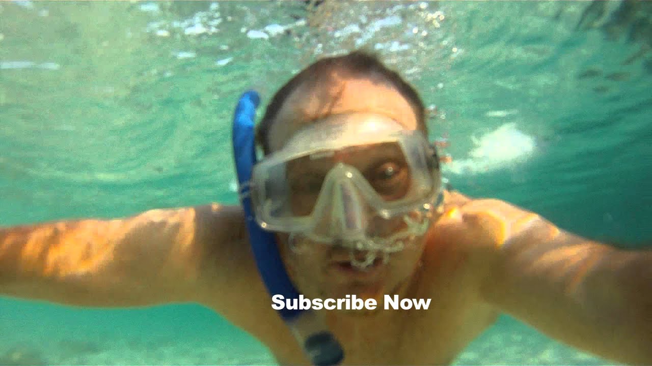 trailer-preview