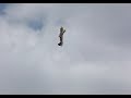 Quique Somenzini shows his world class talents flying his Yak-54 (120