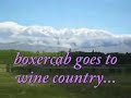 MENDOZA ARGENTINA 2.mp4