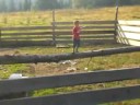 Der Schweinesong von Noah Bruker