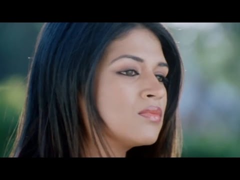 Target Movie || Shraddha Das Introduction Scenes