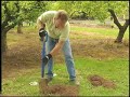 Gopherhole Traps
