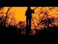 this band has pretty much owned me for the last few weeks.

directed by brendan costello & zach hangauer
edited by  brendan costello