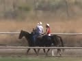 Mr. Elusive - 2007 Okanogan County Fair - 3rd place