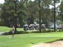 videos de Birdy Shot #7 at Myrtlewood