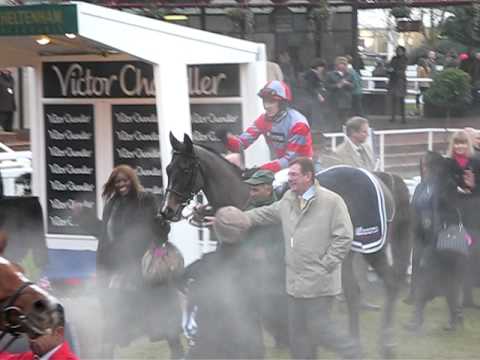 racing results cheltenham