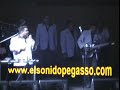 Grupo Pegasso 
