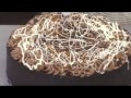 Video Thumbnail Image
