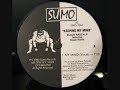 sumo records 1993