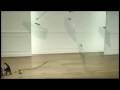 Honda All Physics Rube Goldberg Setup