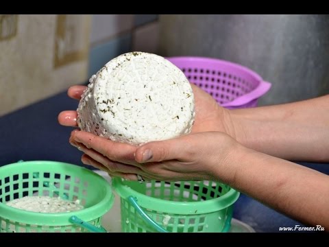 Качотта в домашних условиях рецепт Качотта в домашних условиях рецепт