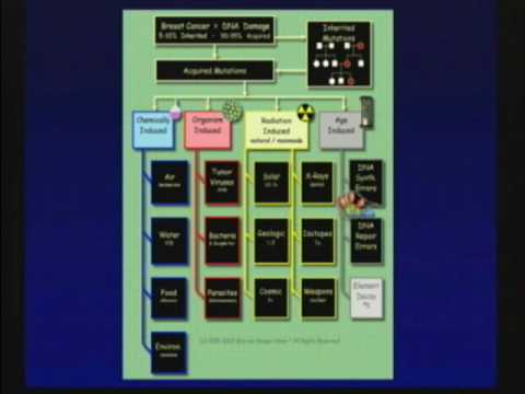 The Role of Gene Mutations in New Therapies Dr S Leachman 2010