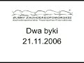 Żubry - dwa byki