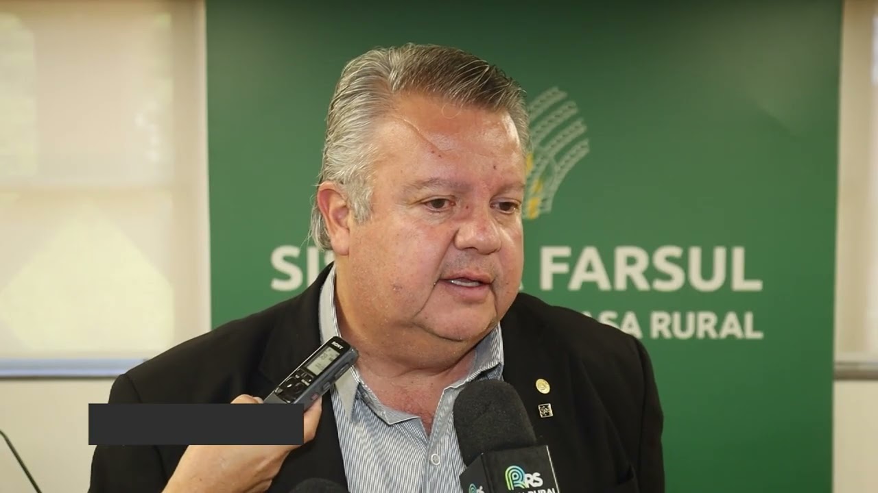 Após a queda nos preços do arroz, RS projeta redução de 13% na produção