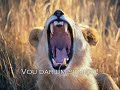 O que eu quero mais � ser rei - Disney