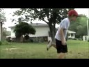 homerun trots