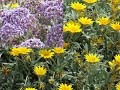 spring in israel