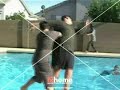 A Short Gun Test 3