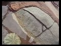 Clay falls into the water