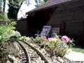 My G-scale backyard Train