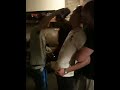 Nub nut punch!!!
