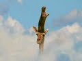 Prairie Dog Tv Ad  GE