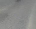 pe cocioc: Picster in actiune pe cocioc: Picster in actiune