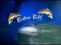Fly fishing ?kola - Emisija \"Bistro BiH\" HTV Hayat - III dio