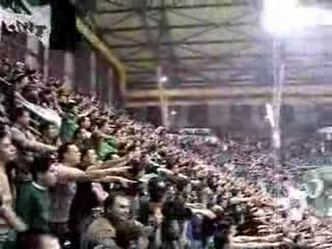 Panathinaikos fans, prasine thee, horto magiko